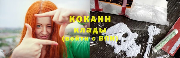 ГАЛЛЮЦИНОГЕННЫЕ ГРИБЫ Белокуриха