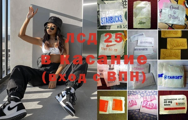 ГАЛЛЮЦИНОГЕННЫЕ ГРИБЫ Белокуриха