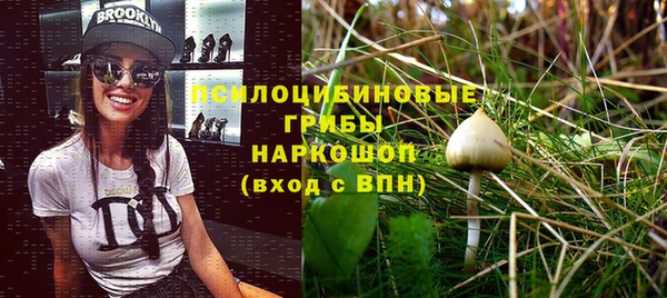 каннабис Беломорск
