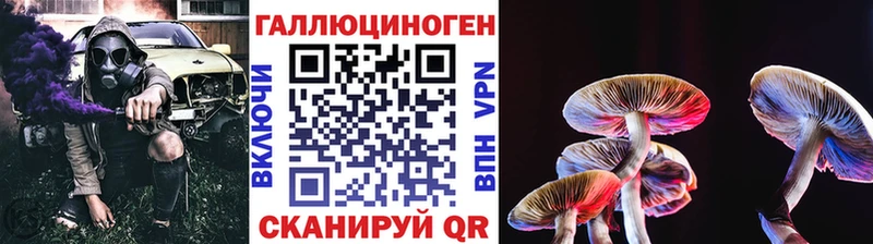 ОМГ ОМГ сайт  дарк нет наркотические препараты  Псилоцибиновые грибы прущие грибы  Шлиссельбург 